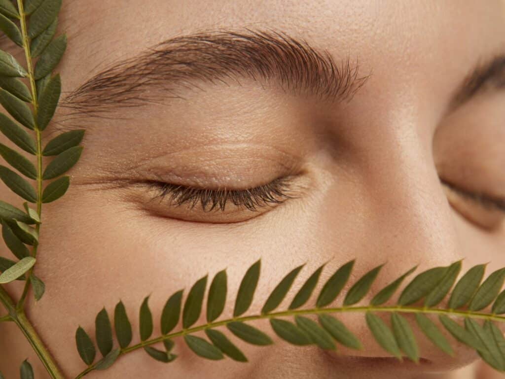 new products launch