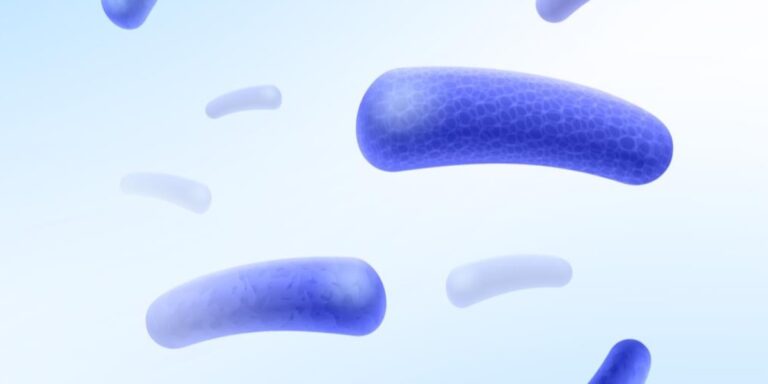 Natori Exobiome LB postbiotic exosome active